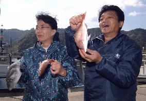 Chimuras enjoy fishing off Wakasa Bay